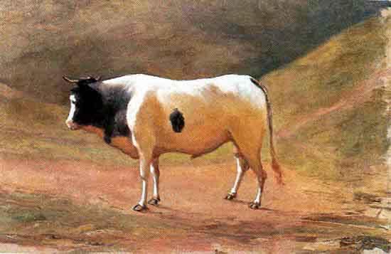 Benedito Calixto Ox grazing oil painting picture